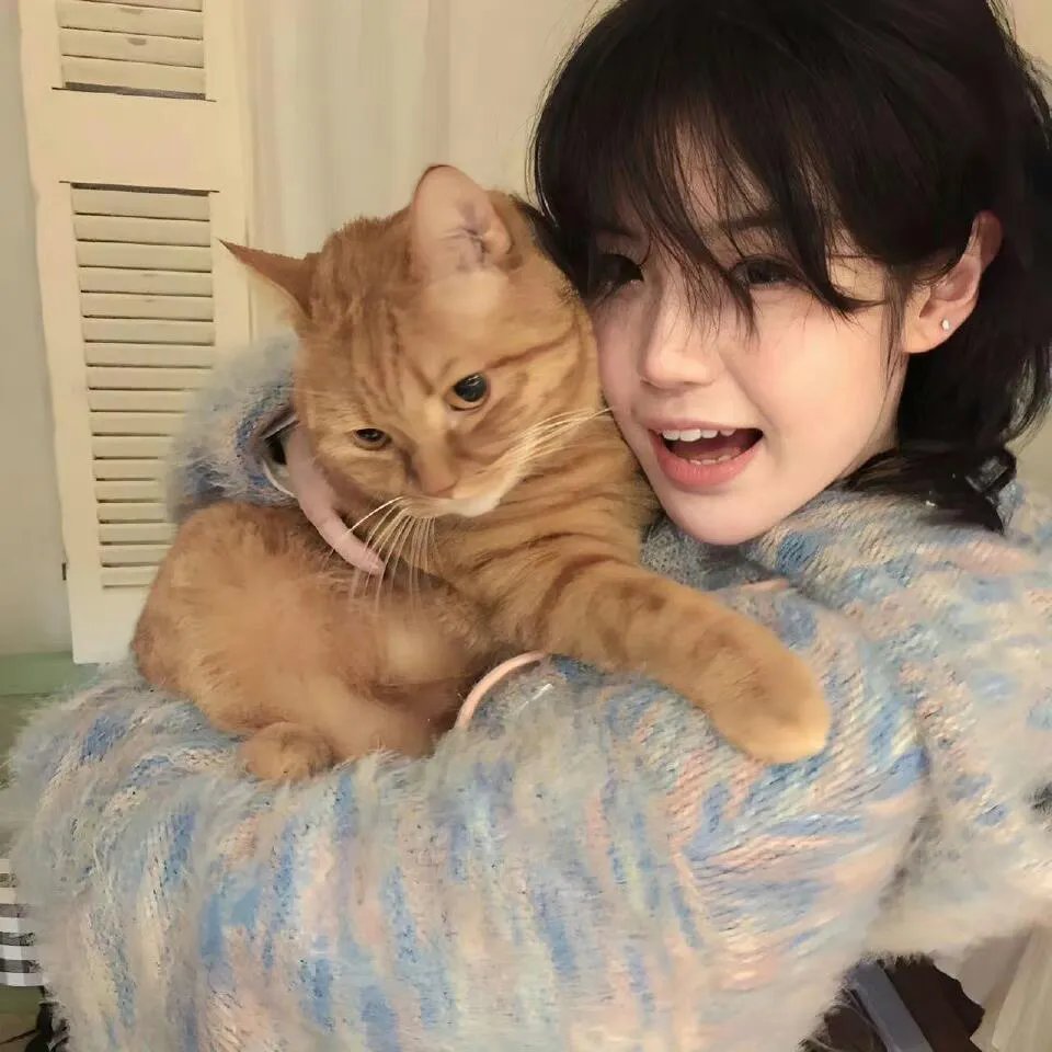 锅盖头4：回归法制