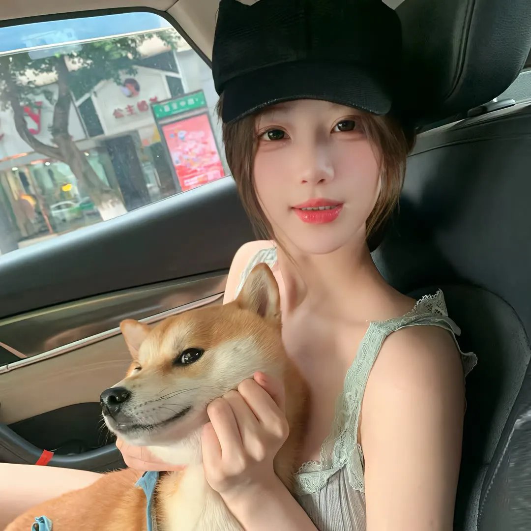 无贼